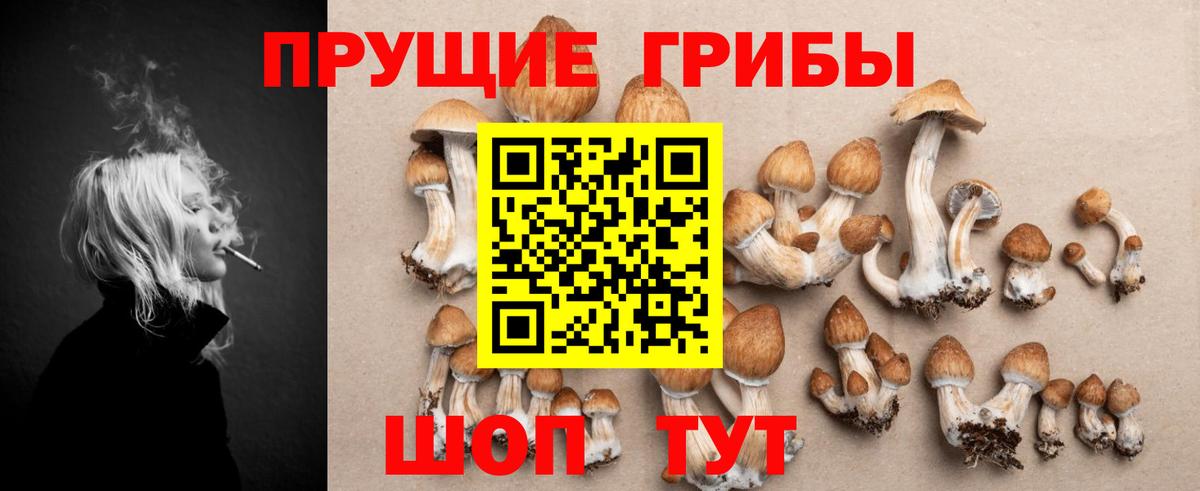 Псилоцибиновые грибы GOLDEN TEACHER Протвино