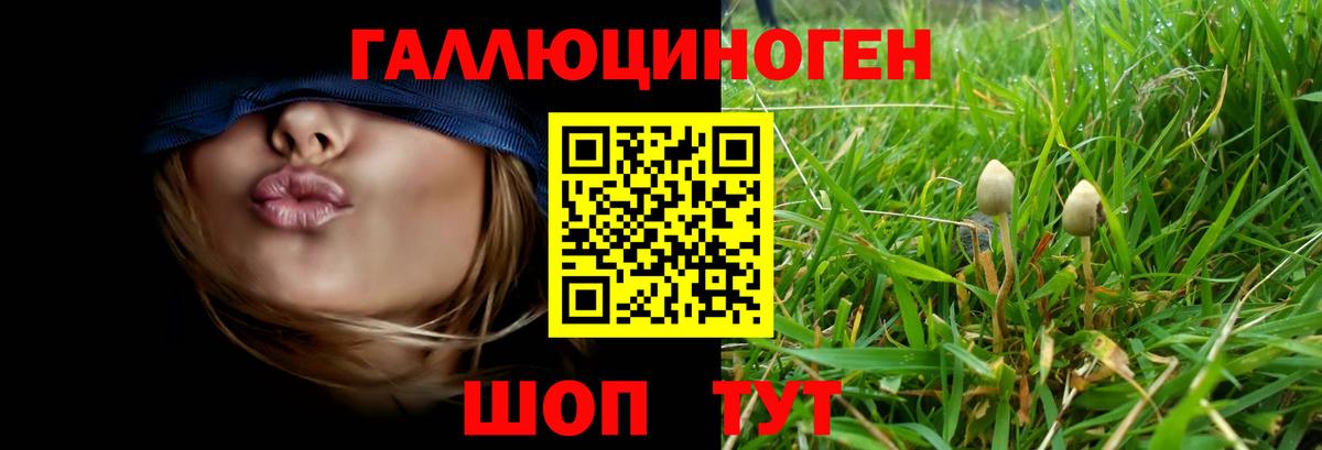 Псилоцибиновые грибы ЛСД  Вход с VPN  Протвино 
